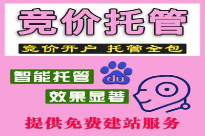 竞价广告的投放策略调整：基于数据反馈的实战案例